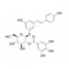 Structure of 105304-51-6