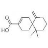Structure of 1174388-31-8