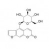 Structure of 131623-13-7