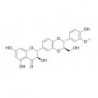 Structure of 142796-21-2