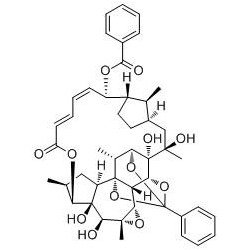 Structure of 1501943-09-4