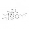 Structure of 1822332-33-1