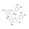 Structure of 29106-51-2