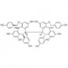 Structure of 388582-37-4