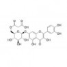 Structure of 98767-37-4