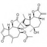 Structure of 112823-41-3