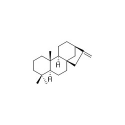 Structure of 469-86-3 | (+)-Phyllocladene