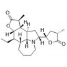 Structure of 876313-35-8 | Tuberostemonine A