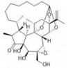 Structure of 66107-38-8 | Wikstroelide E