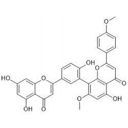 Structure of 34293-14-6 | Amentoflavone 7''