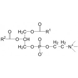 Structure of 93685-90-6 | Egg yolk phosphatidylcholines