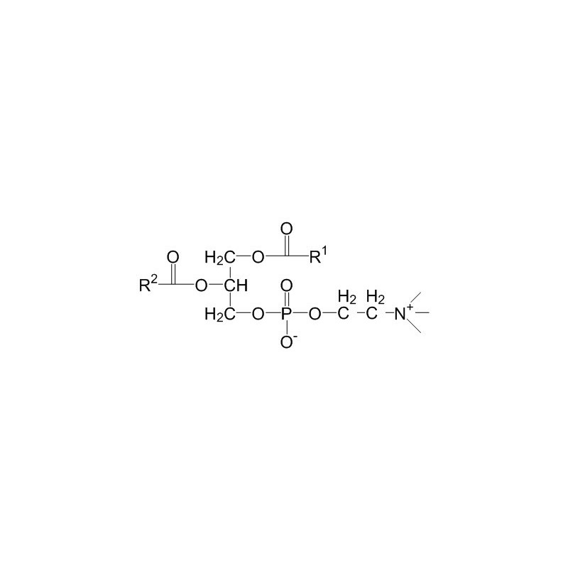 Structure of 93685-90-6 | Egg yolk phosphatidylcholines