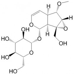 Structure of 1617-84-1 | 6-O-Methylcatalpol