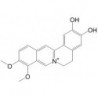 Structure of 16705-03-6 | Demethyleneberberine