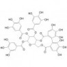 Structure of 81571-72-4 | Tellimagrandin II