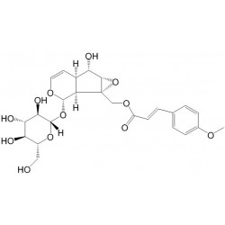 Structure of 201605-27-8 | 10-O-trans-p-methoxycinnamoyl-catalpol