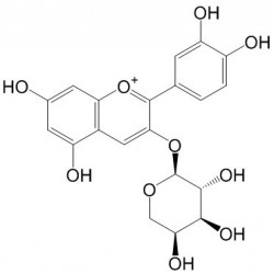 Structure of 792868-19-0 | Cyanidin 3-O-arabinoside