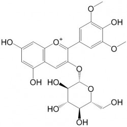Structure of 18470-06-9 | Malvidin 3-O-glucoside
