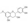 Structure of 1156461-68-5 | 7-O-Methylepicatechin