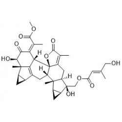 Structure of 1006590-91-5 | Shizukaol M