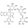 Structure of 3053227-57-6 | Dysoslignan B
