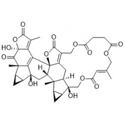 Structure of 928040-25-9 | Chlorahololide B