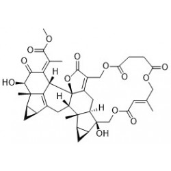 Structure of 165171-10-8 | Shizukaol F
