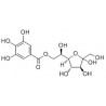 Structure of 233690-85-2 | 7-O-Galloyl-D-sedoheptulose