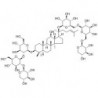 Structure of 193895-50-0 | Notoginsenoside D