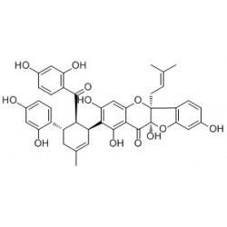 Structure of 101664-32-8 | Sanggenon O