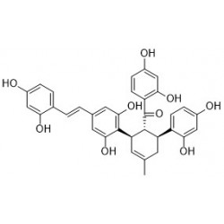 Structure of 96819-92-0 | Kuwanon X