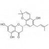 Structure of 1941207-44-8 | Morusalnol B
