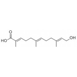 Structure of 156415-81-5 | 12-Hydroxy-2