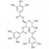 Structure of 99523-99-6 | 3