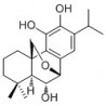 Structure of 1353042-00-8 | 7β