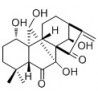 Structure of 88907-93-1 | Rubescensin D