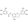 Structure of 889447-89-6 | 7-O-Galloyltricetiflavan