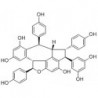 Structure of 287101-82-0 | Vaticanol A