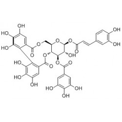Structure of 359828-22-1 | 1-O-Caffeoyl-3-O-galloyl-4