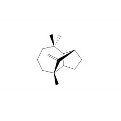 Structure of 475-20-7 | (+)-Longifolene