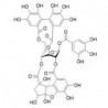 Structure of 142674-52-0 | Phyllanthusiin C