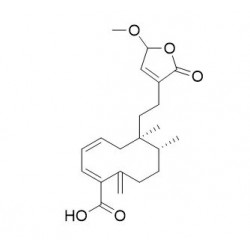 Structure of 1356388-38-9 | 15-Methoxy-16-oxo-15