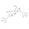 Structure of 241125-73-5 | Sibiricose A4