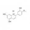 Structure of 64670-94-6 | Diosmetinidin chloride