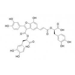 Structure of 144608-09-3 | Schizotenuin A