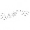 Structure of 1448639-95-9 | 25R-Tupistroside E