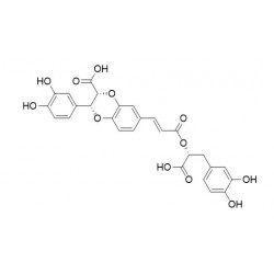Structure of 159736-38-6 | Clinopodic acid E