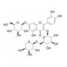 Structure of 813466-12-5 | Peltatoside 7-O-beta-glucopyranoside