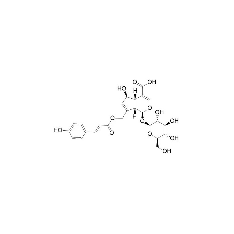 Structure of 870785-25-4 | 10-O-trans-p-coumaroylscandoside