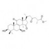 Structure of 81907-65-5 | Methyl ganoderate B